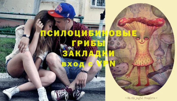бошки Алексеевка
