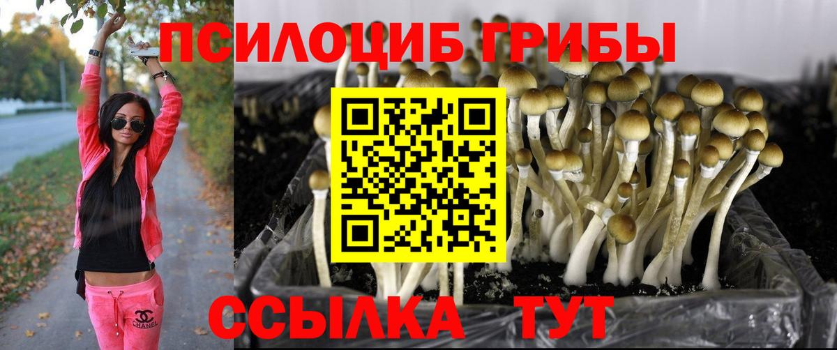 Псилоцибиновые грибы мицелий Бирск